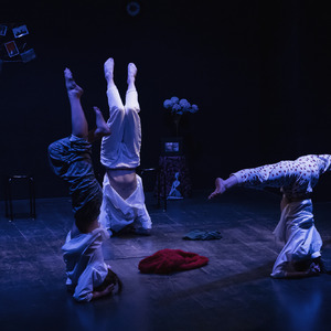 Image 4/6 COMPAGNIE SOF